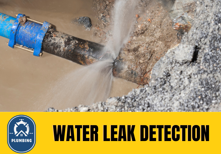 leak detection West Malling