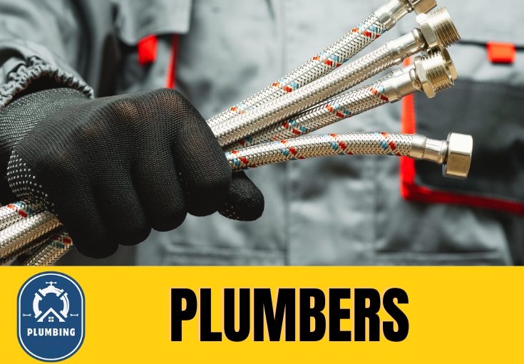  plumber Offham